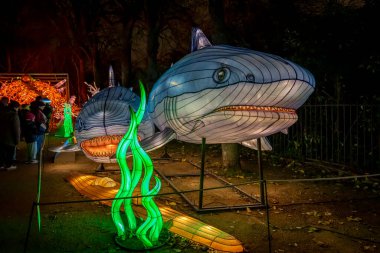 Paris, Fransa - 12: 2024: Jardin des Plantes 'in sokaklarında Jurasik türleri keşfetmek, ki bunlar Noel gecesi aydınlatılıyor