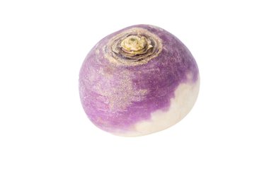 Durgun hayat. Beyaz arkaplanda bir şalgamın ucunu kapat