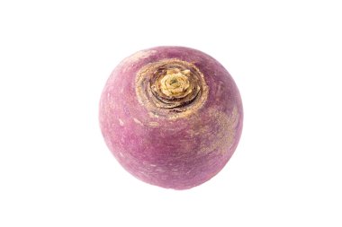 Durgun hayat. Beyaz arkaplanda bir şalgamın ucunu kapat