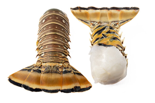 Натюрморт Закрыть два свежих хвоста омаров на белом фоне