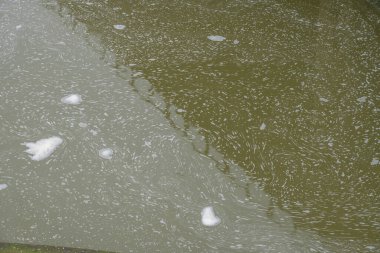 Şehirdeki bir kanaldaki suyun yüzeyinde kirlilik izleri var.