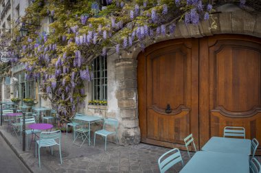 Paris, Fransa - 04: 12 2025: Au Vieux Paris d 'Arcole. Çiçek açmış bir salkım ağacı olan tipik bir Paris restoranı manzarası