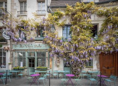 Paris, Fransa - 04: 12 2025: Au Vieux Paris d 'Arcole. Çiçek açmış bir salkım ağacı olan tipik bir Paris restoranı manzarası