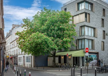 Paris, Fransa - 04 19 2025: Küçük bir meydanda pembe çiçekli büyük bir kestane ağacı ve arkasında modern bir bina