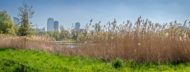 Nanterre, Fransa - 04 11 2025: Andre Malraux Parkı. Sazlıkların panoramik manzarası, gölet, yapraklardaki ağaçlar ve arkadaki La Defans kuleleri.