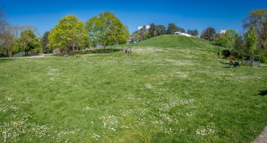 Nanterre, Fransa - 04 11 2025: Andre Malraux Parkı. Çiçekli çimlerin ve parkın tepesinin panoramik manzarası