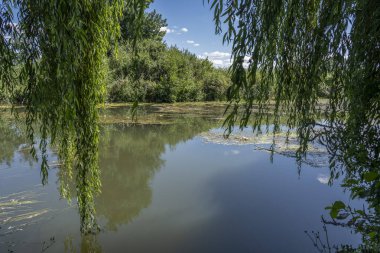 Nehir kıyısındaki bir bahçeden, ağaçlar, tarlalar ve sudaki yansıma.