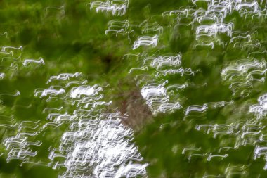 Doğa geçmişi. Yaprakları donan bir ağacın detaylı görüntüsü