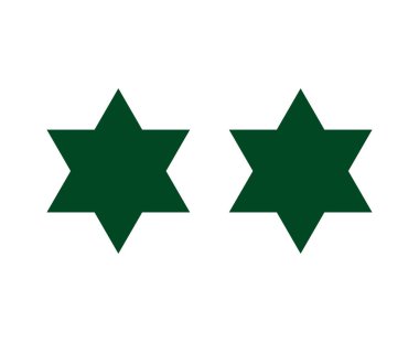 Altı Noktalı Yıldız Şekli Yeşil Tasarım Elementleri Sembol Vektör İllüstrasyonu