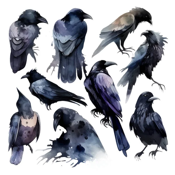 Acuarela Ravens Negros Conjunto Ilustraciones Aisladas Blanco Brujería Gótica Obras —  Fotos de Stock