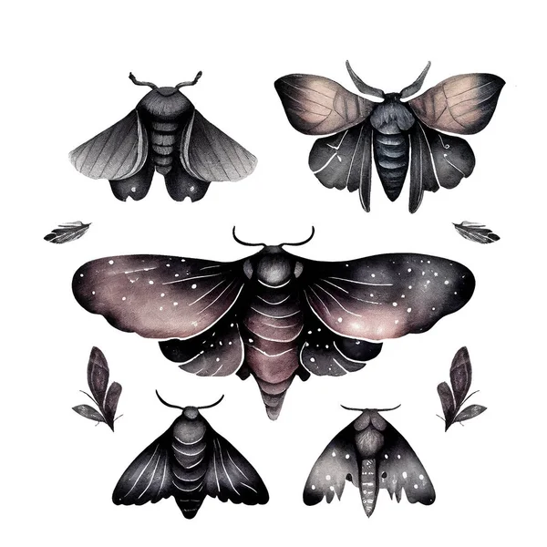 Set Met Stickers Zwarte Aquarel Maan Motten Vlinders Sombere Stijl — Stockfoto