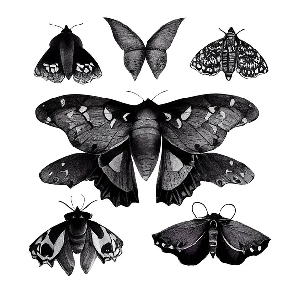 Набор Чёрной Акварелью Мотыльками Бабочками Мрачный Стиль Изолированный Белом Высокое — стоковое фото