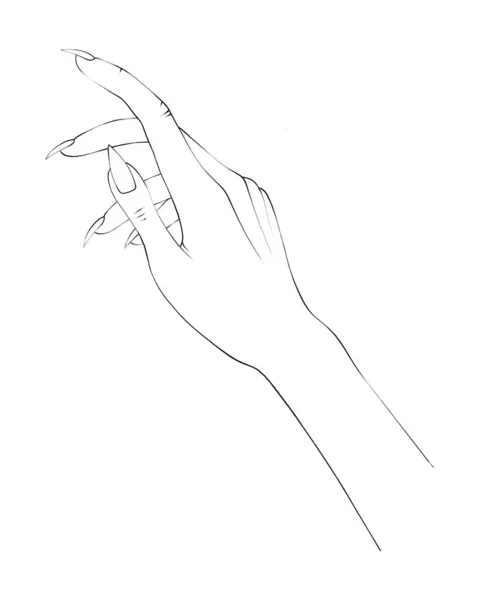 Women Hand Thin Line Art Minimalistic Elegant Hand Drawn Manicure — Stock Photo, Image