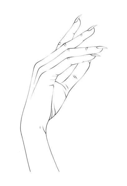 Women Hand Thin Line Art Minimalistic Elegant Hand Drawn Manicure — Stock Photo, Image