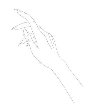 İnce Çizgili Kadın El Sanatı. Kadın Güzelliği için Minimalist ve Zarif El Çizimi Manikür Tasarımı. Yüksek kaliteli illüstrasyon