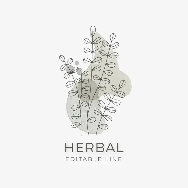 Herbal Bewerkbare Lijn Kunst Design Natuurlijk Biologisch Kruidenembleem Voor Cosmetica — Stockvector