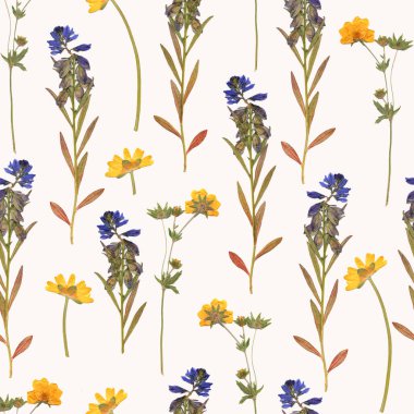 Çiçeksel dikişsiz desen, bahar renkli canlı çiçekler, beyaz arka planda düzlük. Beyaz arka planda kuru çiçekler. Yüksek kalite fotoğraf