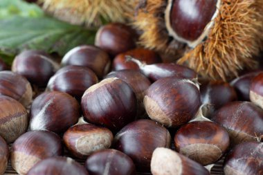 Masada kestane kabuğu ve arka planda yaprak var. Seçici odaklanma, yakın çekim. Tatlı sonbahar meyve hasadı.