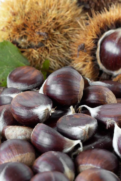 Sweet chestnuts spilled on a table. Vertical shot. Selective focus. A close-up. Natural autumn fruit on the market.