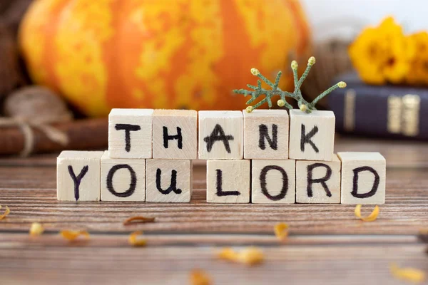 Thank You LORD text on wooden cubes placed on rustic table with autumn leaves, pumpkin, and Holy Bible Book in the background, A close-up. Christian thanksgiving, praise, and gratitude concept.