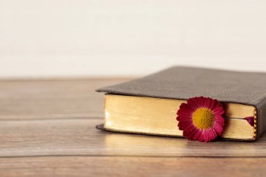 Kapalı kutsal kitap, altın sayfalar ve beyaz arka planlı ahşap masa üzerinde çiçek. Uzayı kopyala - Yakın çekim. Tanrı 'nın İncili, Hristiyan umudu, İncil eğitimi kavramı.