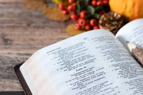 Open Heilig Bijbelboek Herfstfruit Bladeren Achtergrond Christelijke Dankzegging Dankbaarheid Aan — Stockfoto