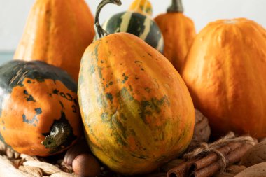 Masada tarçın ve fındıklı balkabağı ve kabak. Yakın plan. Seçici odaklanma. Şükran Günü süslemeleri, mevsimlik meyveler, sonbahar natürmortları.