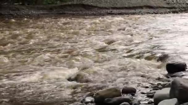 Rápido Rio Imundo Fluindo Para Rochas Após Chuva Pesada Inundação — Vídeo de Stock