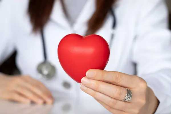Female doctor holding red heart in hands while working in hospital. National Cardiology Day, physician\'s commitment to caring for patient\'s health concept.