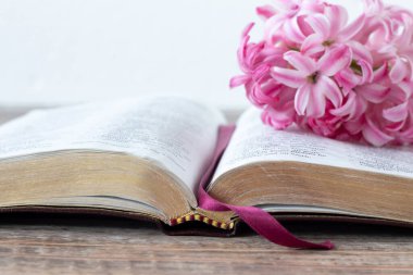 Üzerinde altın sayfalar ve beyaz arkaplan olan ahşap masa üzerinde pembe bahar çiçeği olan kutsal İncil kitabını aç. Yakın plan. Seçici odaklanma. Uzayı kopyala Hıristiyan büyümesi, kutsal kitap okuma kavramı.