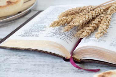 Buğday kulaklı ve ahşap masada ekmeği olan kutsal İncil kitabını aç. Seçici odaklanma. Manevi yemek ve hasat, İncil 'deki Hristiyan kavramı..