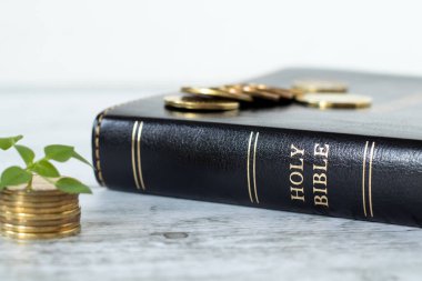 Yeşil bitki ve kutsal kitap içeren altın sikkeler. Uzayı kopyala Seçici odaklanma. Hıristiyanlık vergisi, cömertlik, İncil kavramı.