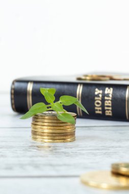 Altın sikkeler, yeşil bitki ve beyaz arka planlı kutsal İncil kitabı. Yakın plan. Seçici odaklanma. Uzayı kopyala Hıristiyan vergisi, kutsama ve adak, kutsal kitap konsepti.