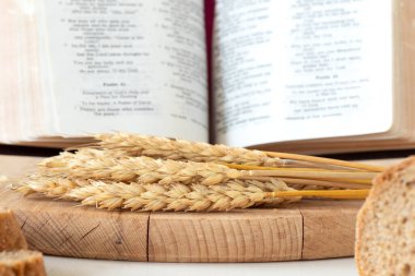 Buğday kulakları ve ekmek, üzerinde kutsal kitap olan ahşap masa. Yakın plan. Manevi yemekler, Hristiyan hasadı, İncil kavramı..