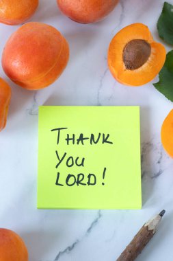 Teşekkürler Tanrım, kayısı meyveli bir masada el yazısıyla yazılmış bir not. Üst Manzara. Hıristiyan minnettarlığı ve şükran günü, kutsal kitap kavramı..