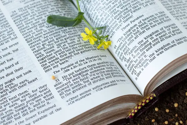 Kutsal kitap üzerine hardal tohumu. Hristiyan misali, Tanrı 'ya olan inanç, İsa Mesih, İncil kavramı..