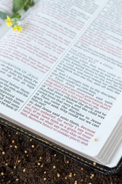 Kutsal İncil 'le birlikte toprak üzerinde hardal tohumları. İncil 'deki Tanrı' ya olan inanç kavramı..