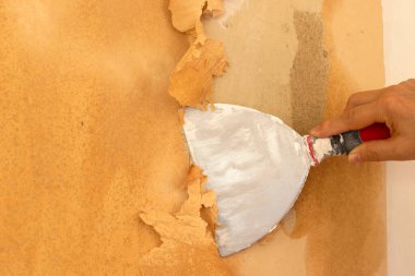 Kadın eli çalışırken ve duvar kağıdını çıkarırken spatulayı tutuyor. Yakın plan..