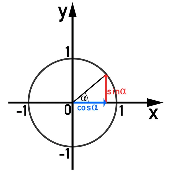 Représentation Graphique Des Fonctions Sinusoïdales Cosiniques Sur Cercle Unitaire — Image vectorielle
