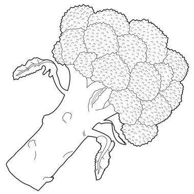 Black and white representation of broccoli - stem with florets