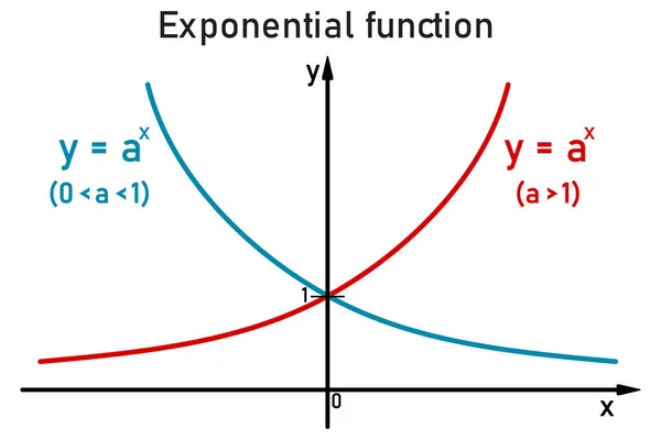 Grafici Della Funzione Esponenziale Sulla Linea Numerica Blu Base Zero — Vettoriale Stock
