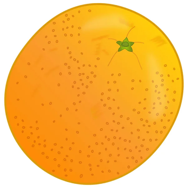 Символическое Представление Целого Спелого Апельсина Кожурой — стоковый вектор