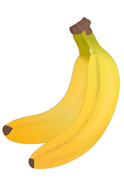 Symbolické Znázornění Dvou Zralých Banánů Slupkou — Stockový vektor