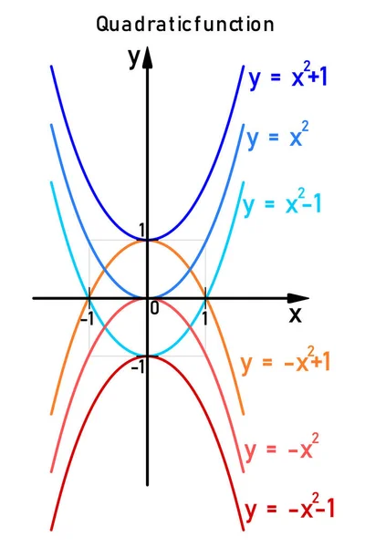 Sechs Spezifische Beispiele Für Quadratische Funktionen Auf Der Zahlenzeile Die — Stockvektor