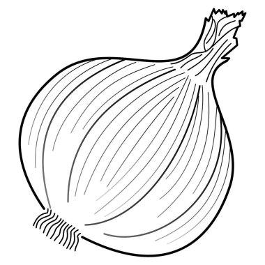 Siyah çizgili sarımsağın vektör çizimi