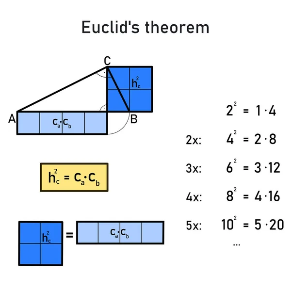 stock vector Numerical and graphical representation of Euclid's theorem on the height of a right triangle with the values 2, 1, 4 and their multiples