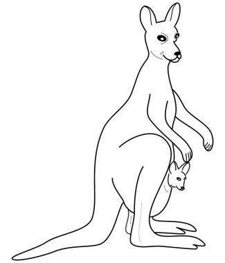 Cebinde bebek olan yetişkin bir kanguru. Siyah dış görünüş.