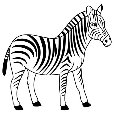Duran zebra yandan görünüyor, siyah dış görünüş