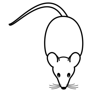 Bir kemirgenin siyah çizgisi - fare, yukarıdan ön manzara