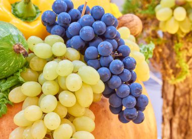 Grape. Beautiful Vine. Love food.